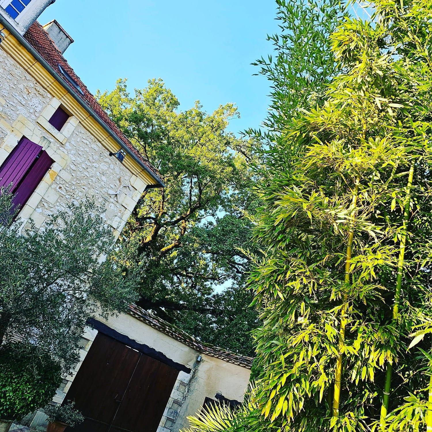 Bed and Breakfast Domaine Au Marchay Nojals-et-Clotte Exterior foto
